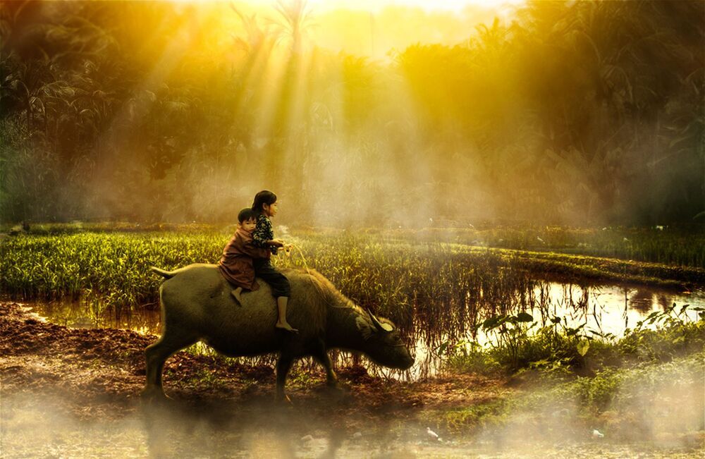 Viet Nam