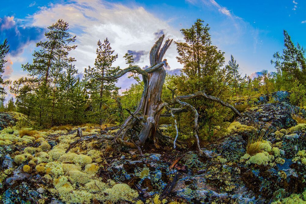Карелия