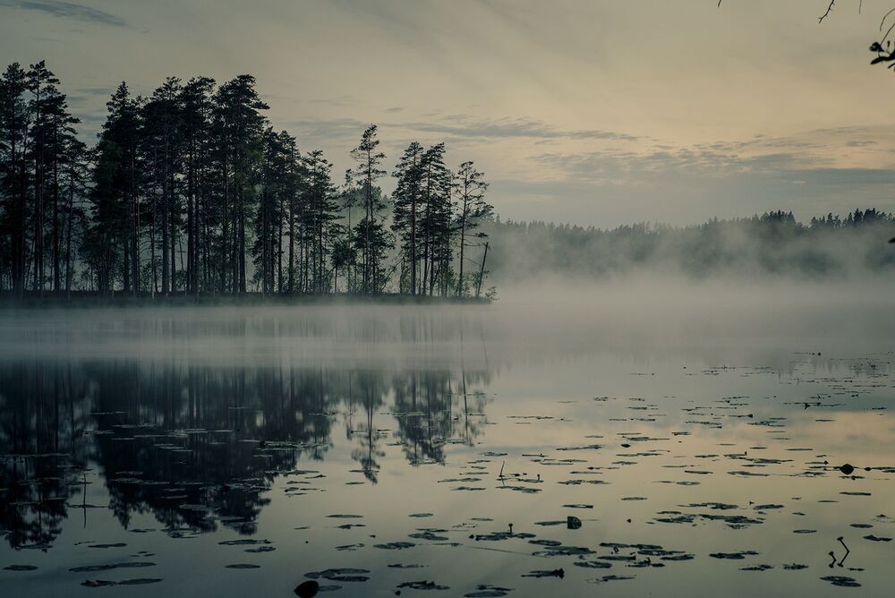 Карелия