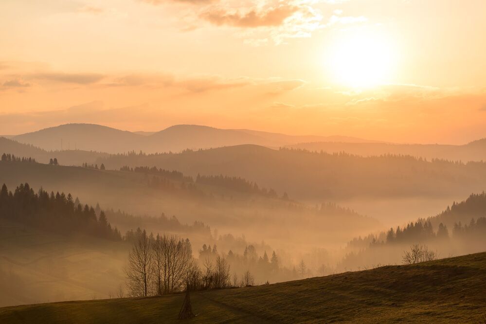 Весна в Карпатах
