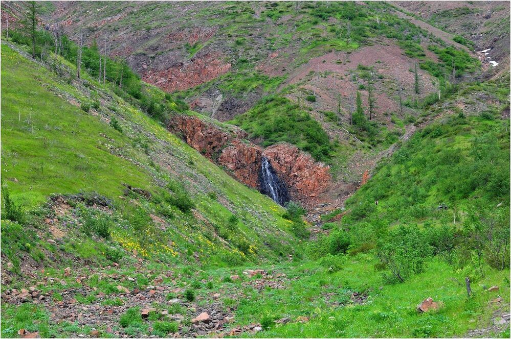 Летние зарисовки