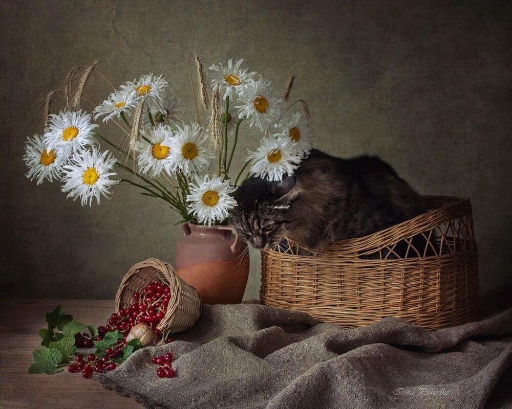 - Не прячься, Ульянка! Я вижу, как ты смородину воруешь!