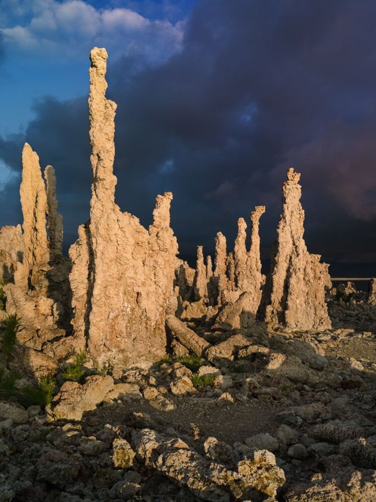 Monday Morning Mono Lake