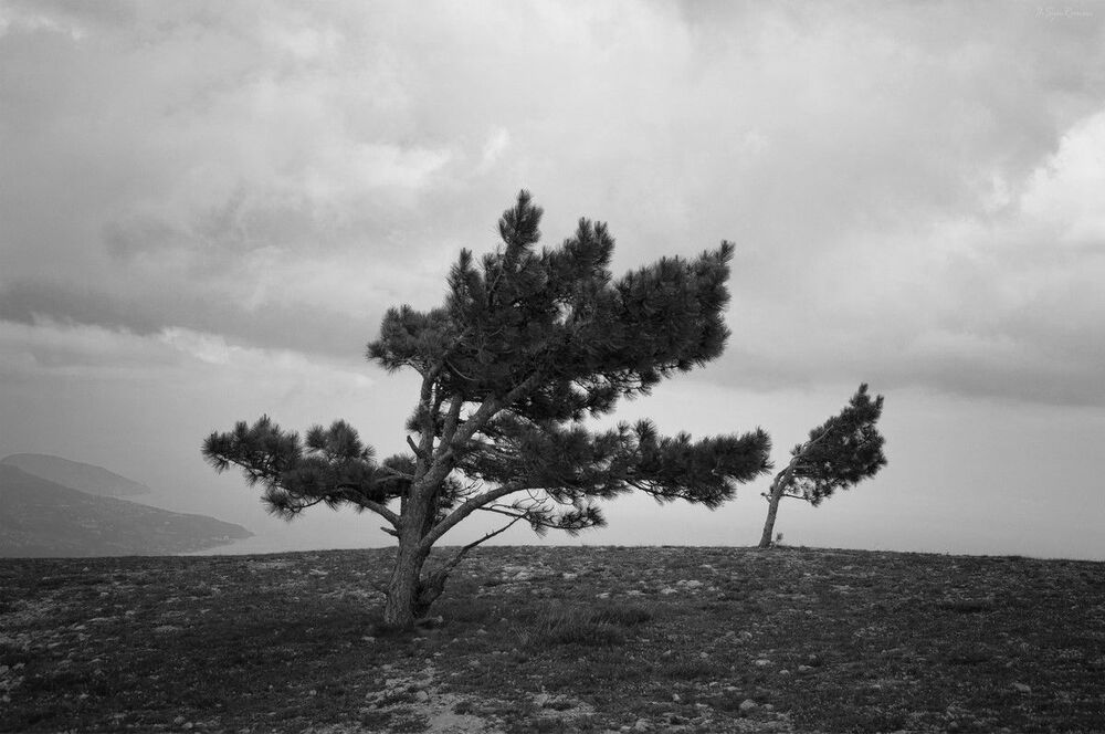 Плато Ай-Петри