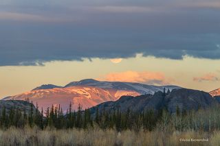 Эта ночь не похожа на ночь:
Это - день, утомлённый без сна.
В бледно-розовом небе встаёт
Только призрак луны - не луна...