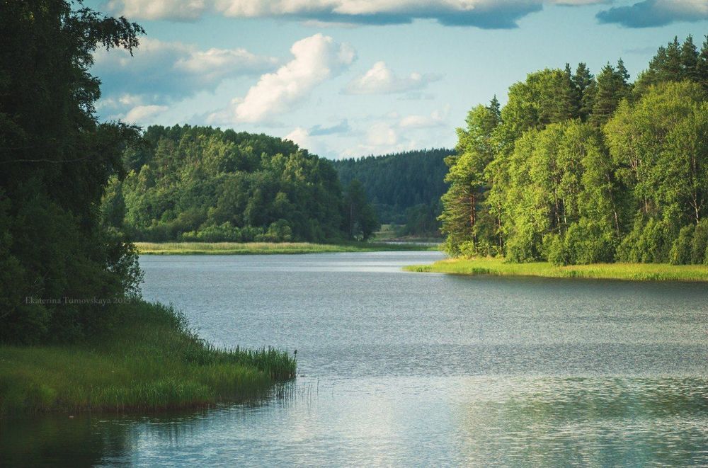 окрестности Ласанен, Карелия