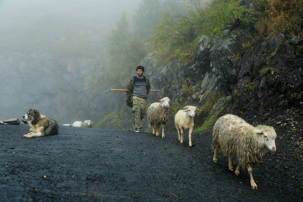 TUSHETI