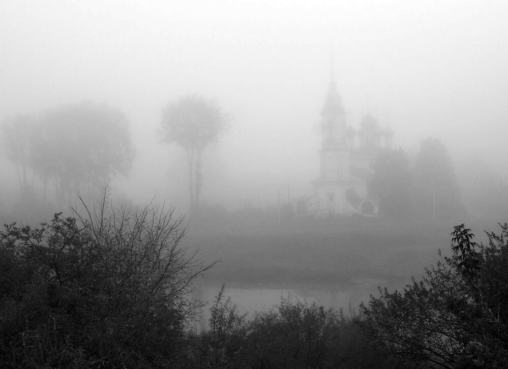 в серых