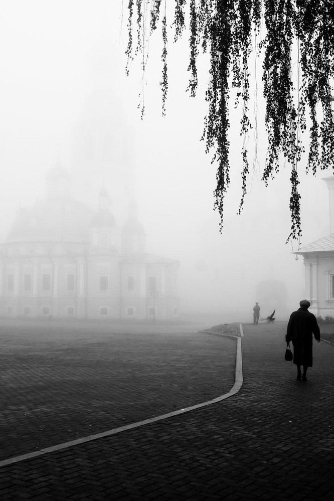 в серых