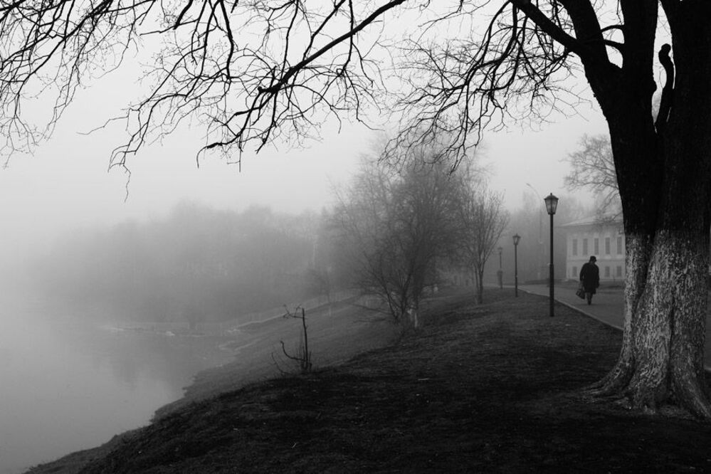 в серых