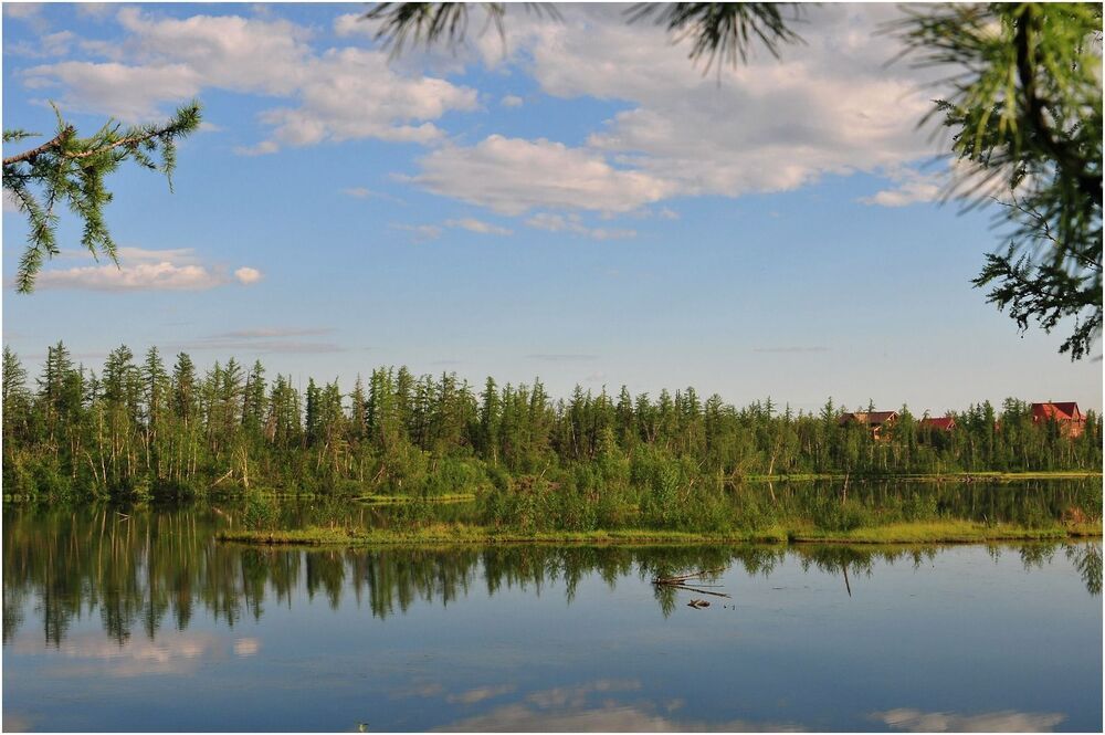 Жаркий день лета
