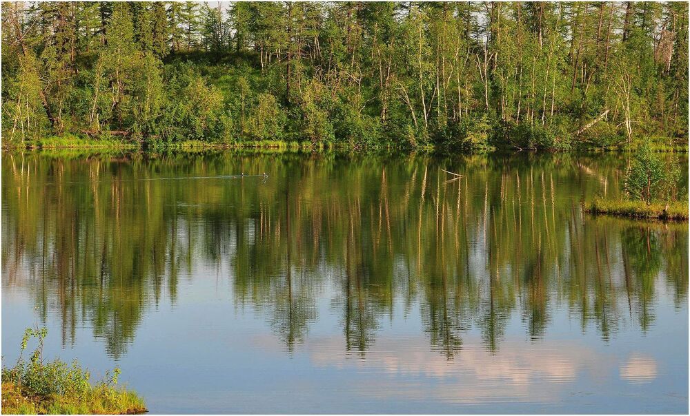 Жаркий день лета