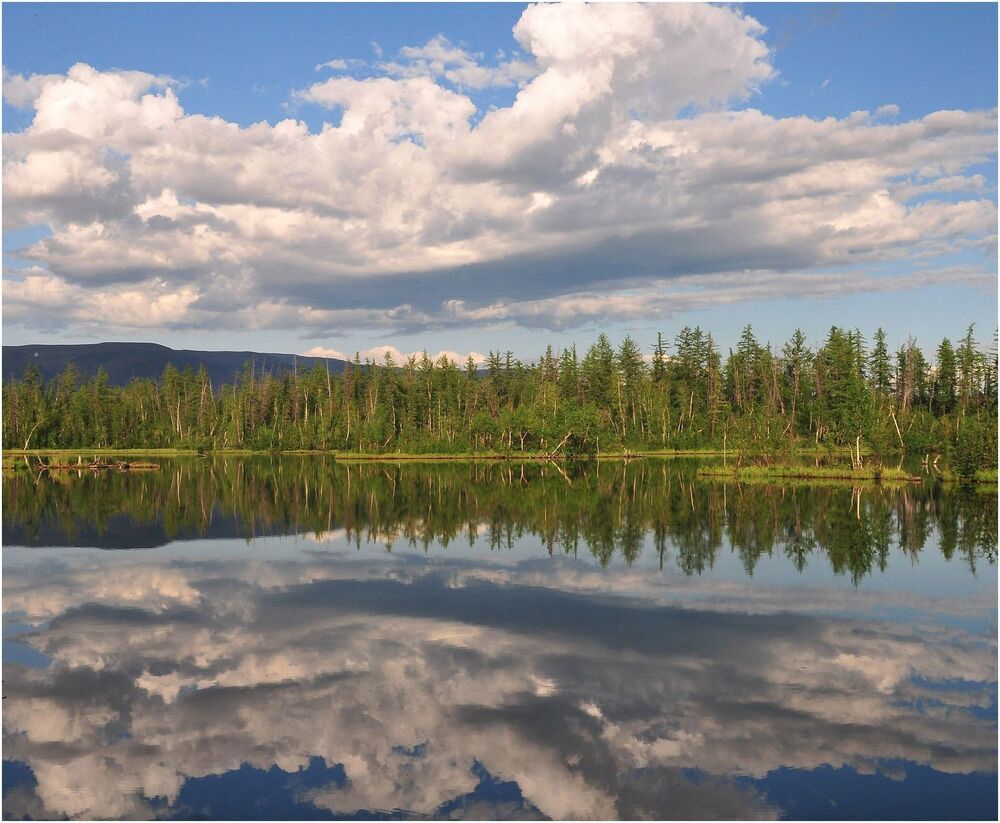 Жаркий день лета