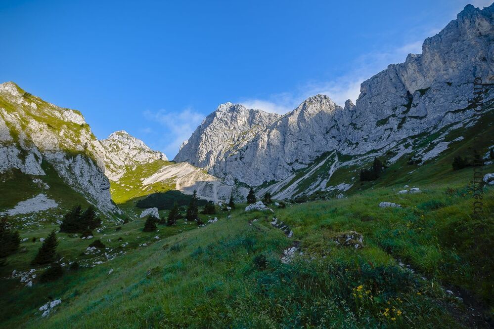im Tannheimer Berge...