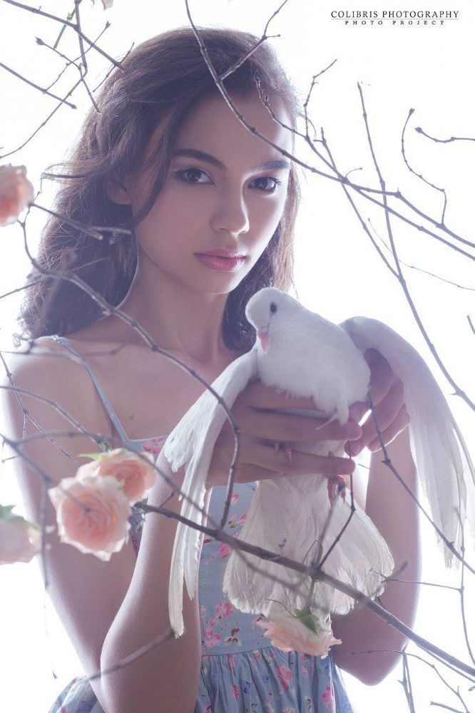 Dove