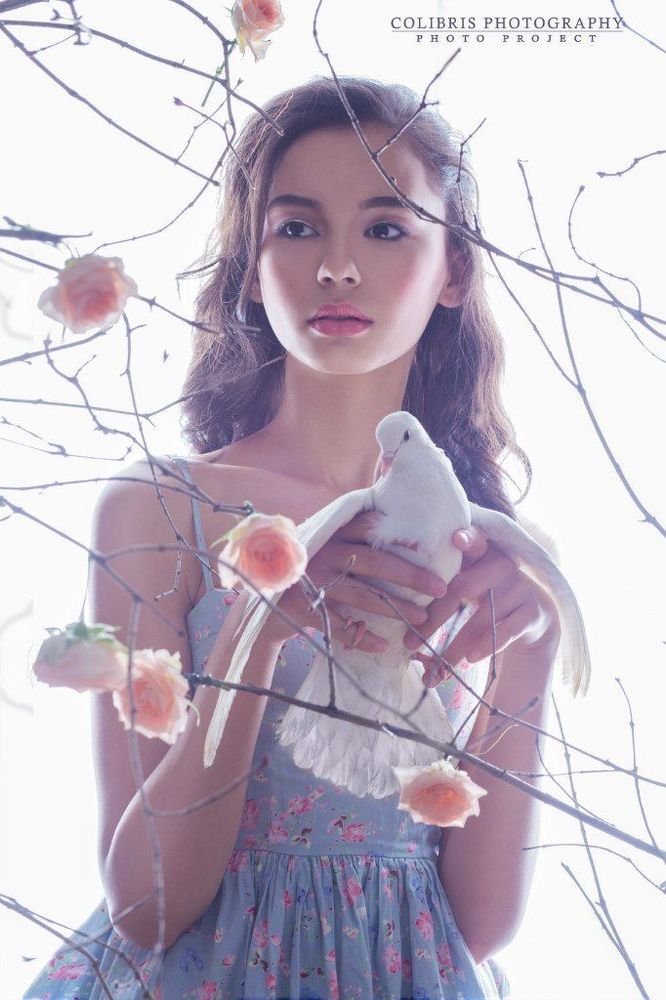 Dove