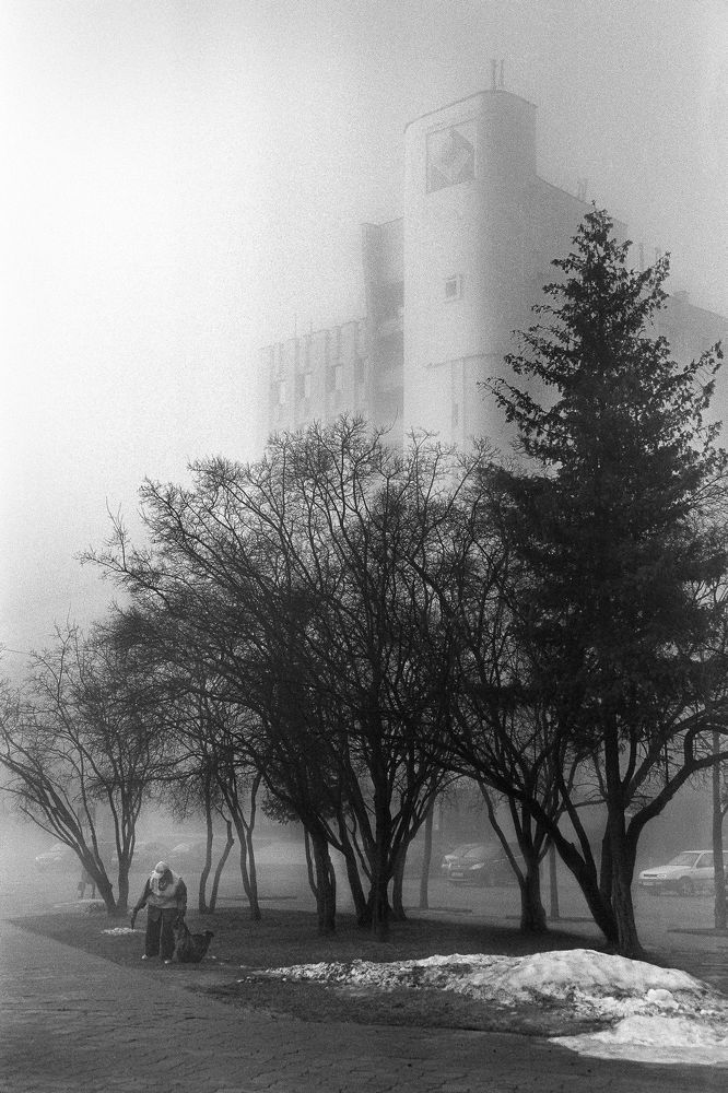Foggy morning city.