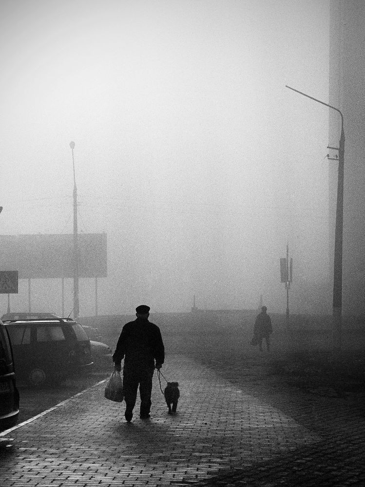 Foggy morning city.