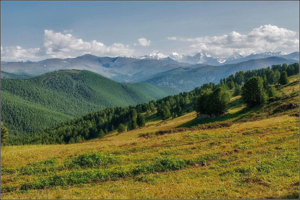 Алтайские зарисовки