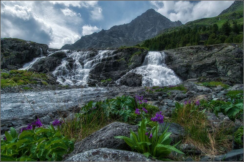 Алтайские зарисовки