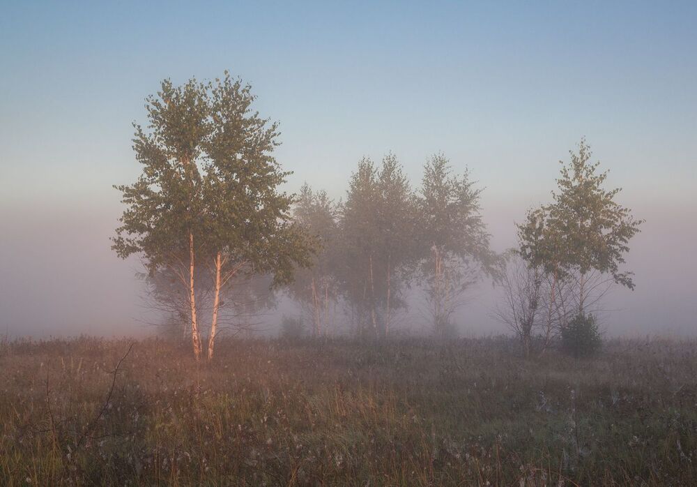 Все в тумане, и поля, и леса и дороги
