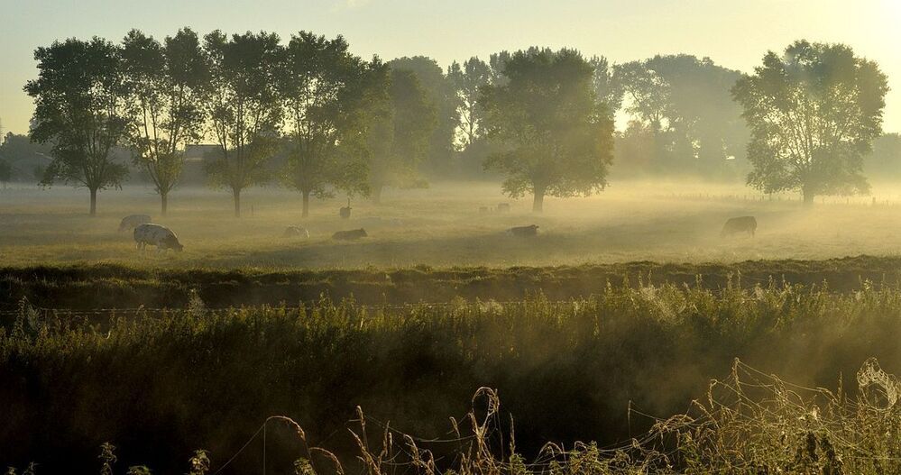 The beginning of a beautiful day.