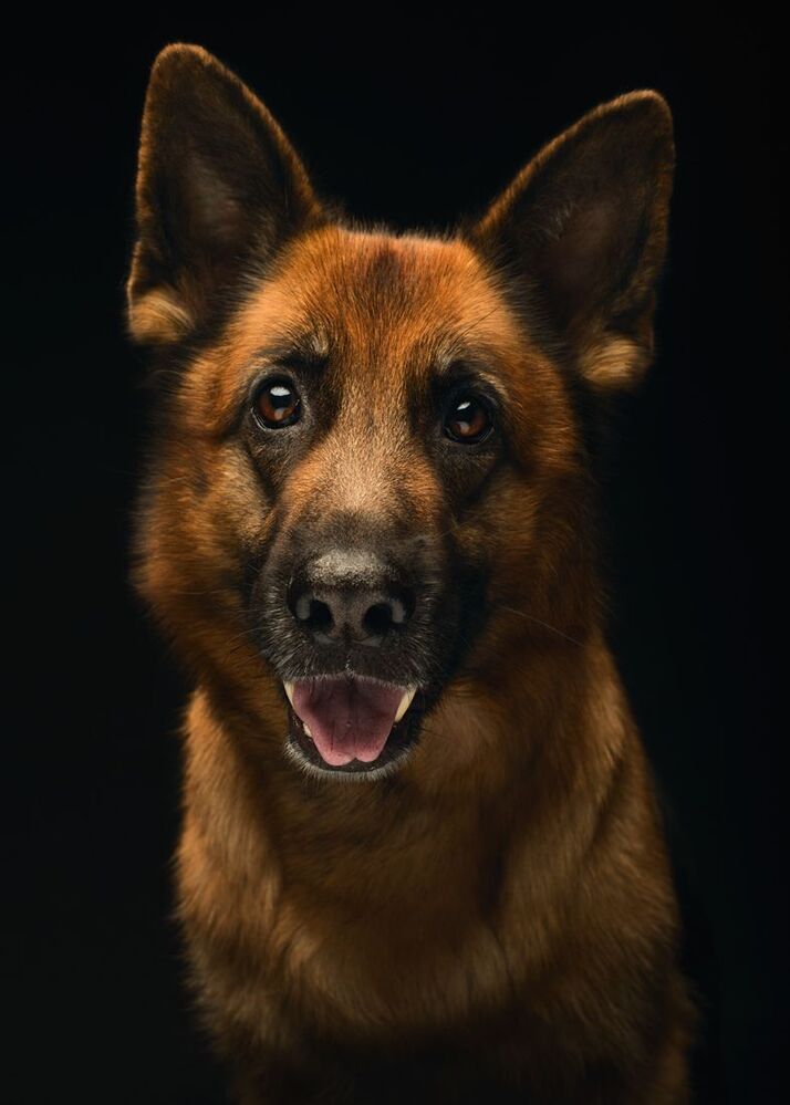 Витта