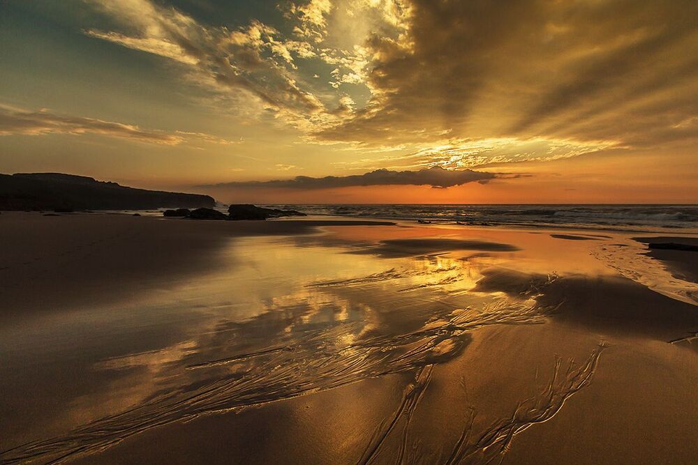 Golden Sunset