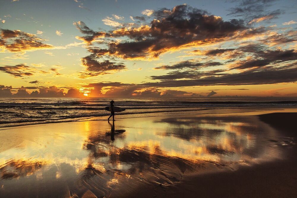 The Surfer