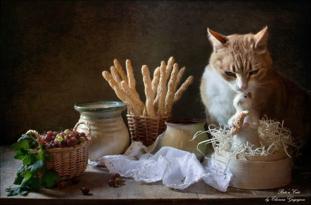 Уффф, как же Феликс устал! Куст крыжовника такой колючий, весь исцарапался, пока собрал корзинку. Феликс сел отдохнуть в кучку свежей стружки, и с удовольствием грызёт сухой хлебец. Но что это делает Дайви? Как-то подозрительно она принюхивается к Феликсу! Кажется, пора удирать!
