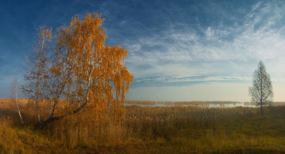 Photo 74008