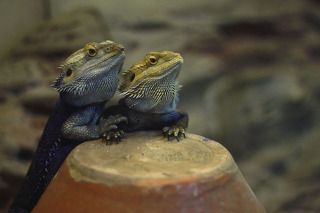 love happens / любовь случается