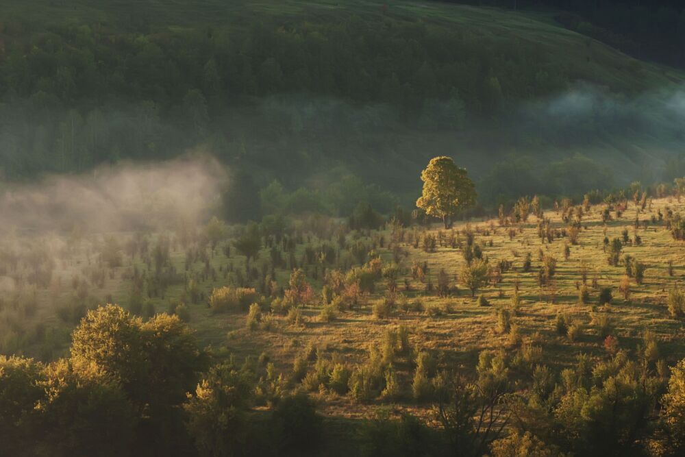 Утро на р.Красивая Меча.