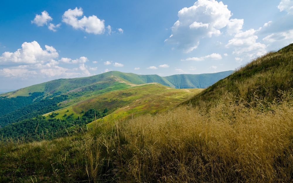 Карпаты. Боржава