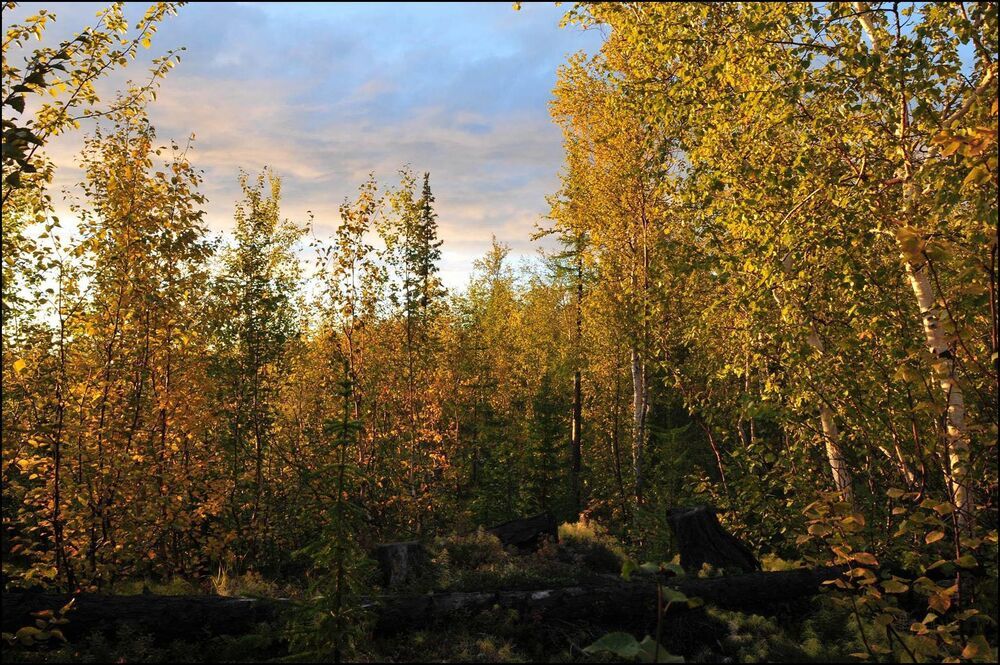 Вот и осень