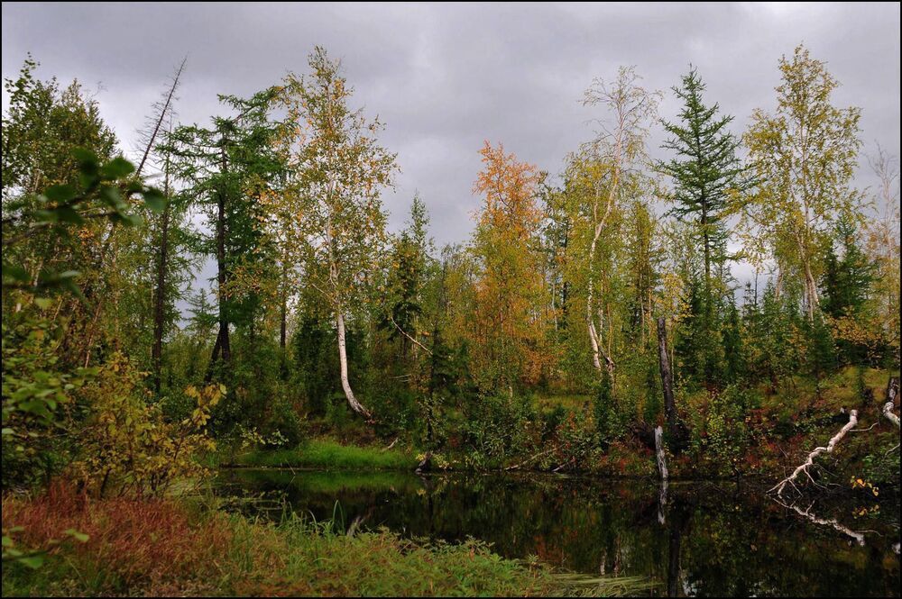 Вот и осень