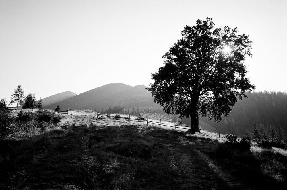 Photo 743543