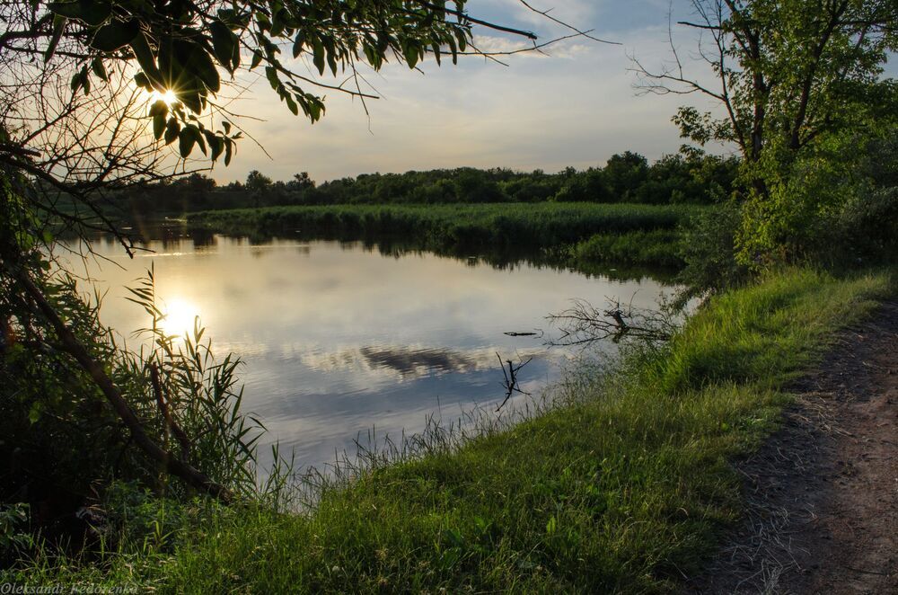 Photo 743771