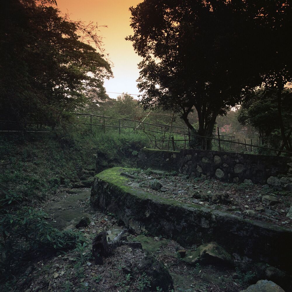 Tones of Green / Оттенки Зеленого 

Гонг Конг, Апрель  2013 г.