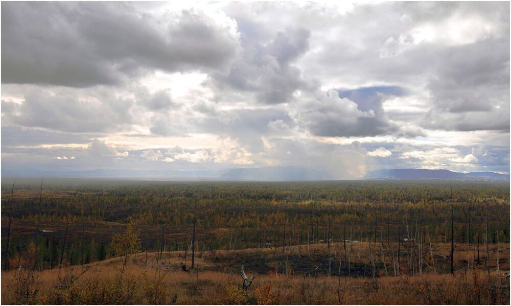 В осенних красках купаясь