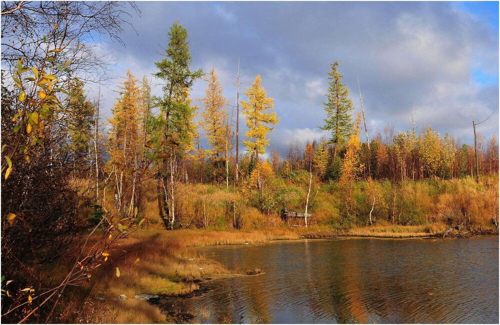 В осенних красках купаясь