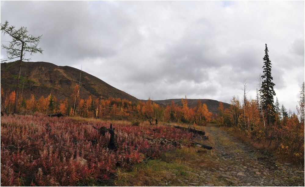 В осенних красках купаясь