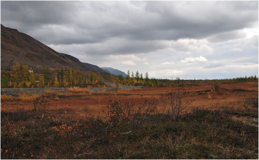 В осенних красках купаясь