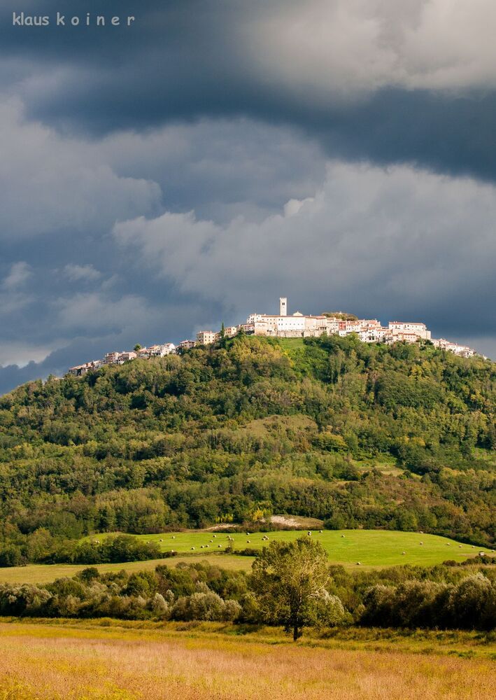 motovun