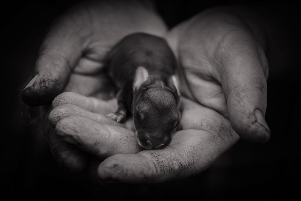 Photo 749501