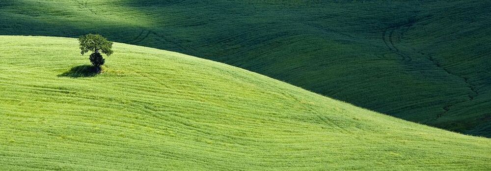 Toscana