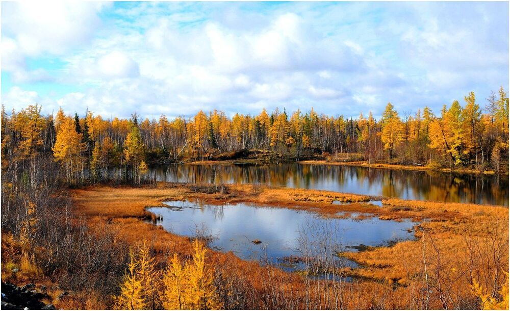 Осенние моменты