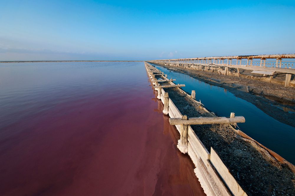 03 &hellip;однако, розовый цвет морской воды уже завораживает! Как я выяснил позже, розовый оттенок ей придает микроводоросль Dunaliella Salina, которая живет в морской воде только в четырех местах земного шара &ndash; в Южной части залива Сан-Франциско, в некоторых районах Красного моря, в Патагонии, и в соляных озерах Крыма.