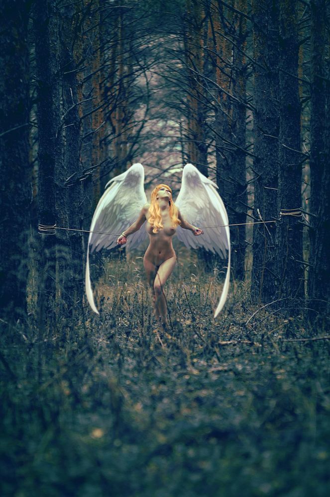 captive angel