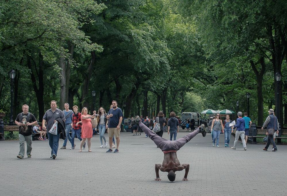 Прыгун из Центрального Парка.